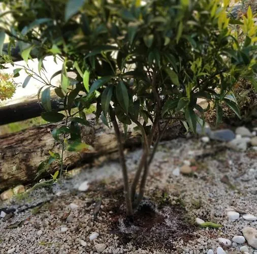 Vila Maisonette In Paradisos 1